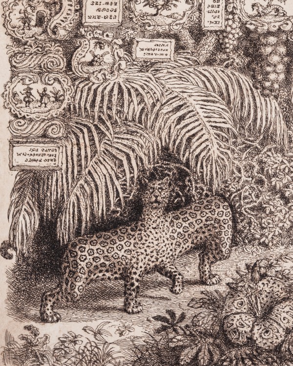Cheetah, elephant and other...