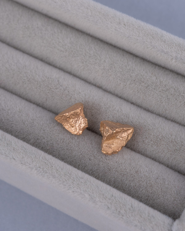 Fosilium gold earrings