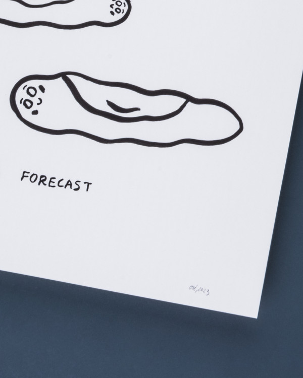 Today´s Forecast