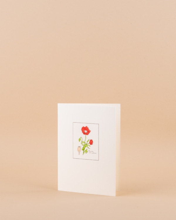 Poppy card