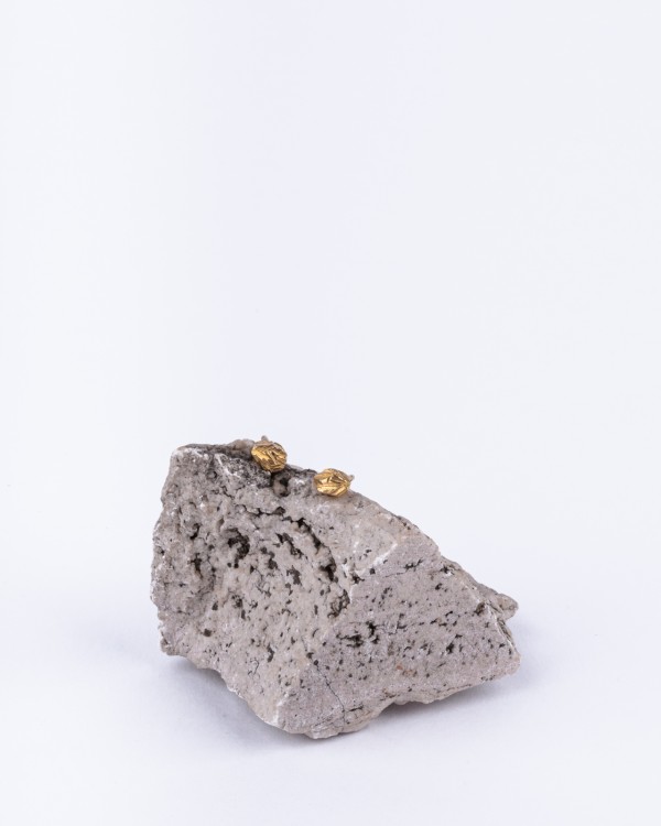 Soča gold-plated earrings